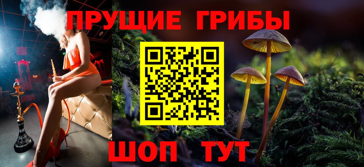 Галлюциногенные грибы Psilocybine cubensis  Псилоцибиновые грибы MAGIC MUSHROOMS  Вход с VPN  Вязники 